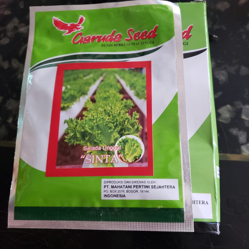 Benih/Bibit Selada Hijau Keriting Unggul &quot;SINTA&quot; 10 gr Garuda Seed