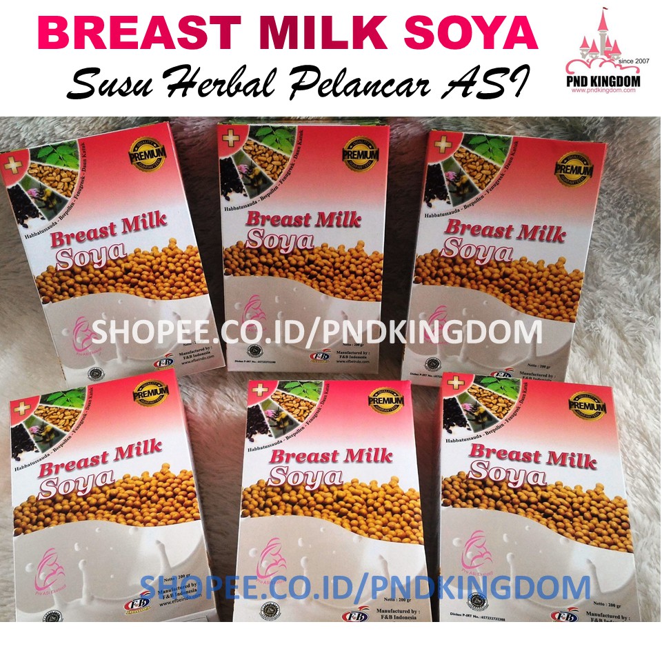 Grosir 6 Box BREAST MILK SOYA ~ Susu Pelancar ASI Booster / Susu Soya Rasa Enak Gak Eneg