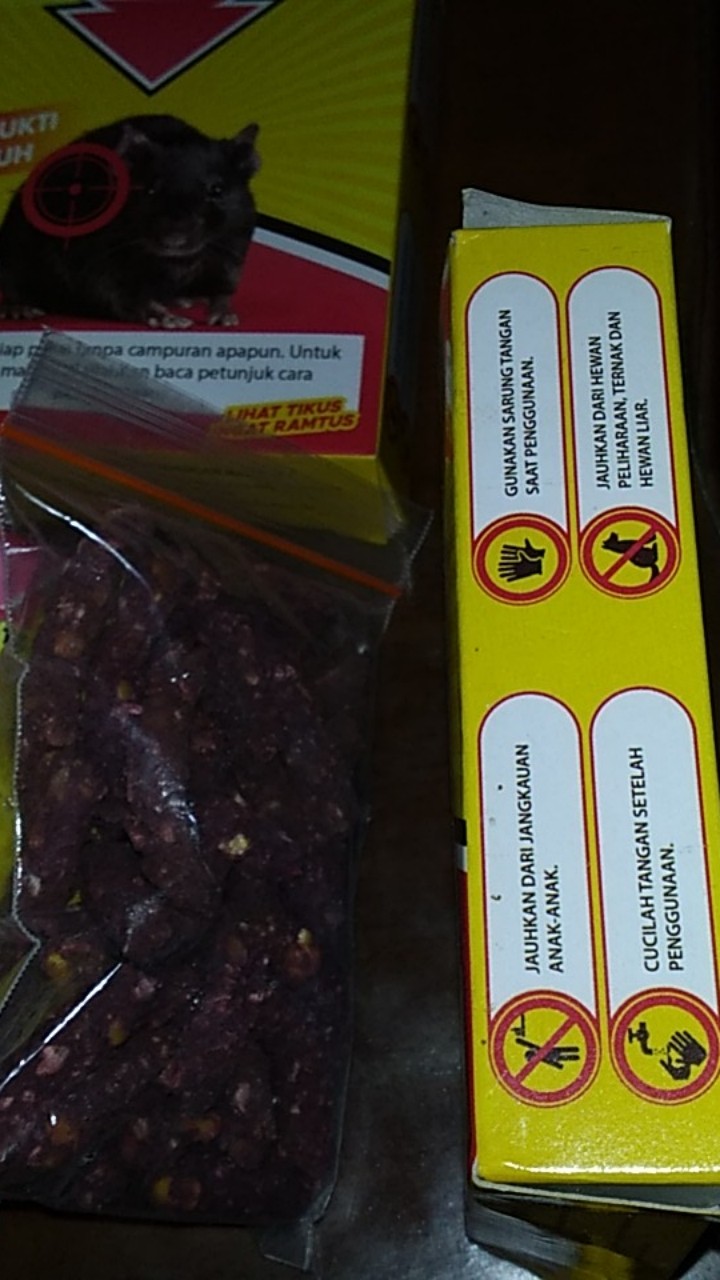 Ramtus Racun Tikus Ampuh Mati Kering Tidak Bau Pembasmi Curut Wirog Mencit Dirumah Di Mobil 5 Pack