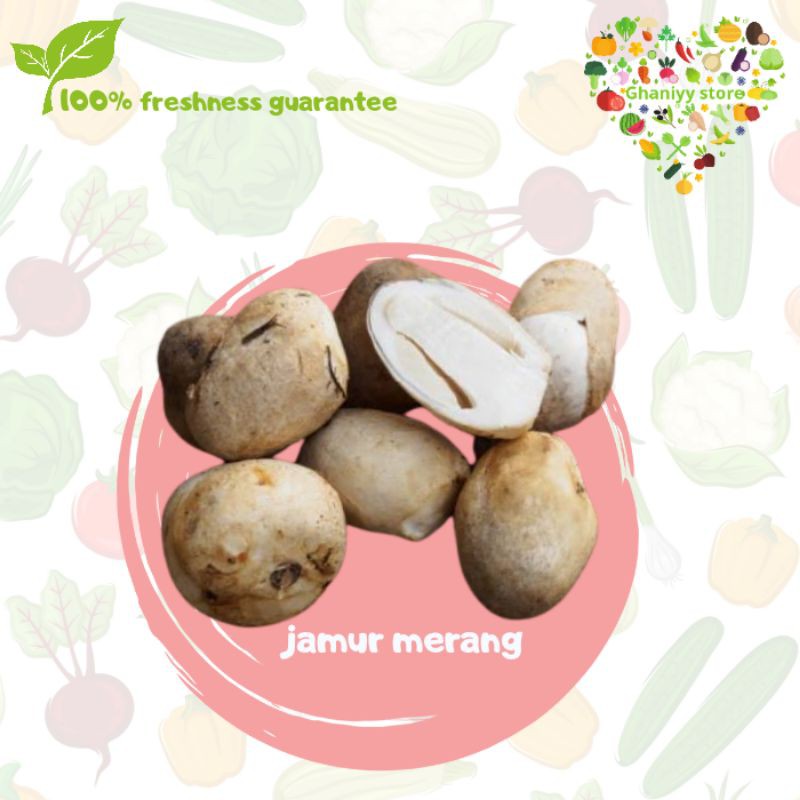 

jamur merang 250 gram