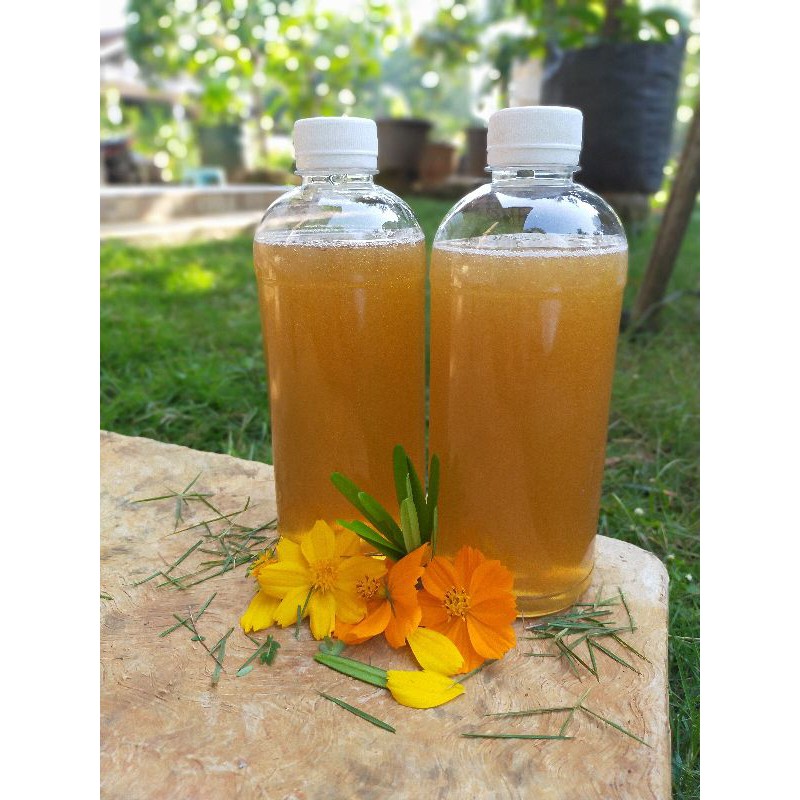 

Madu murni asli 500mL