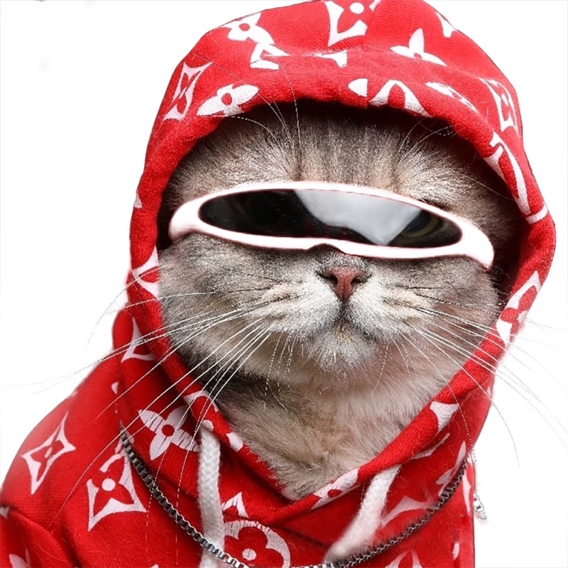 pet eminem sunglass