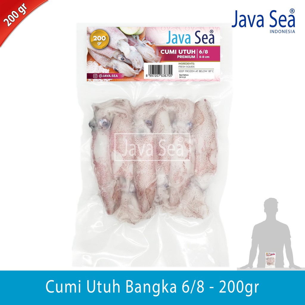 

Cumi Utuh 6/8 pack 200gr Java Sea