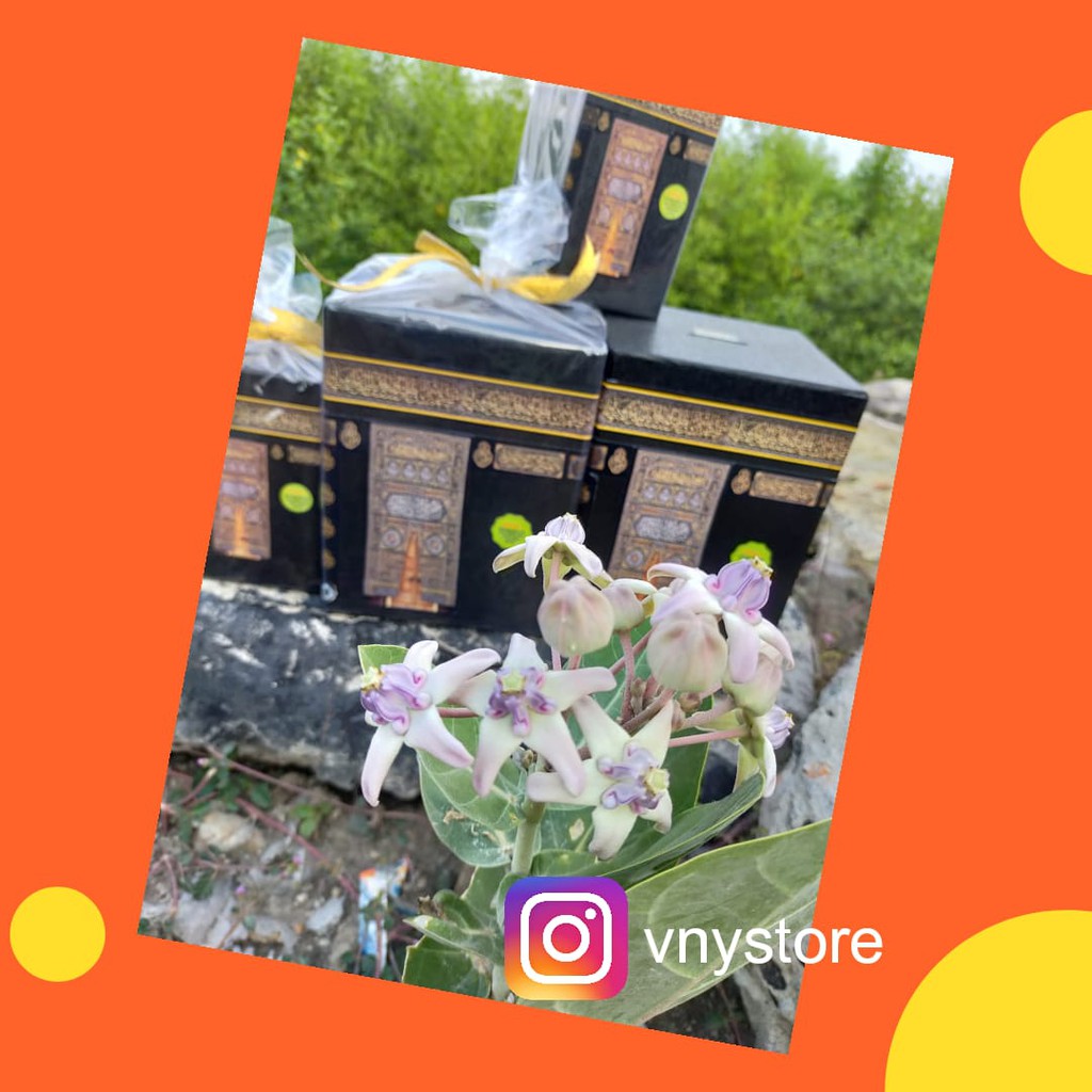 WRAPPING,celengan kabah,celengan kabah surabaya,celengan kabah shopee,celengan kabah jumbo