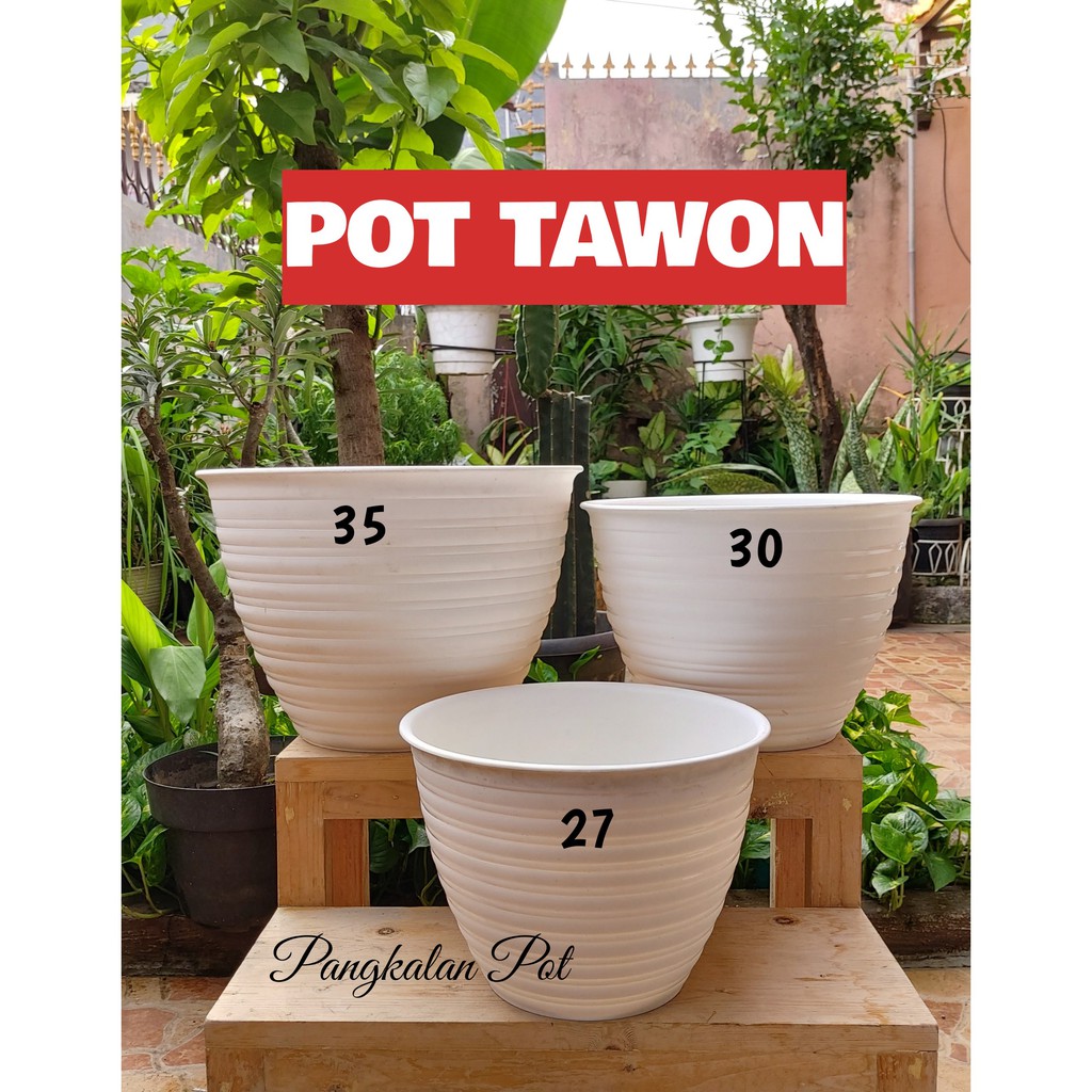  ORI  Pot  Tawon  30 cm Shopee Indonesia