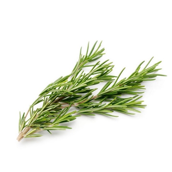 Rosemary Organik 50gr