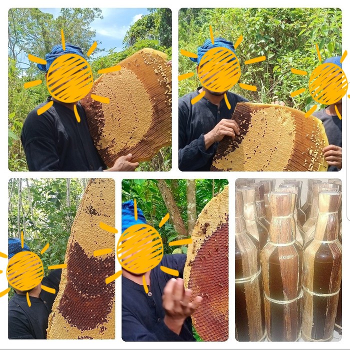 

Madu BADUY asli Lebak Banten UKURAN BOTOL MARJAN