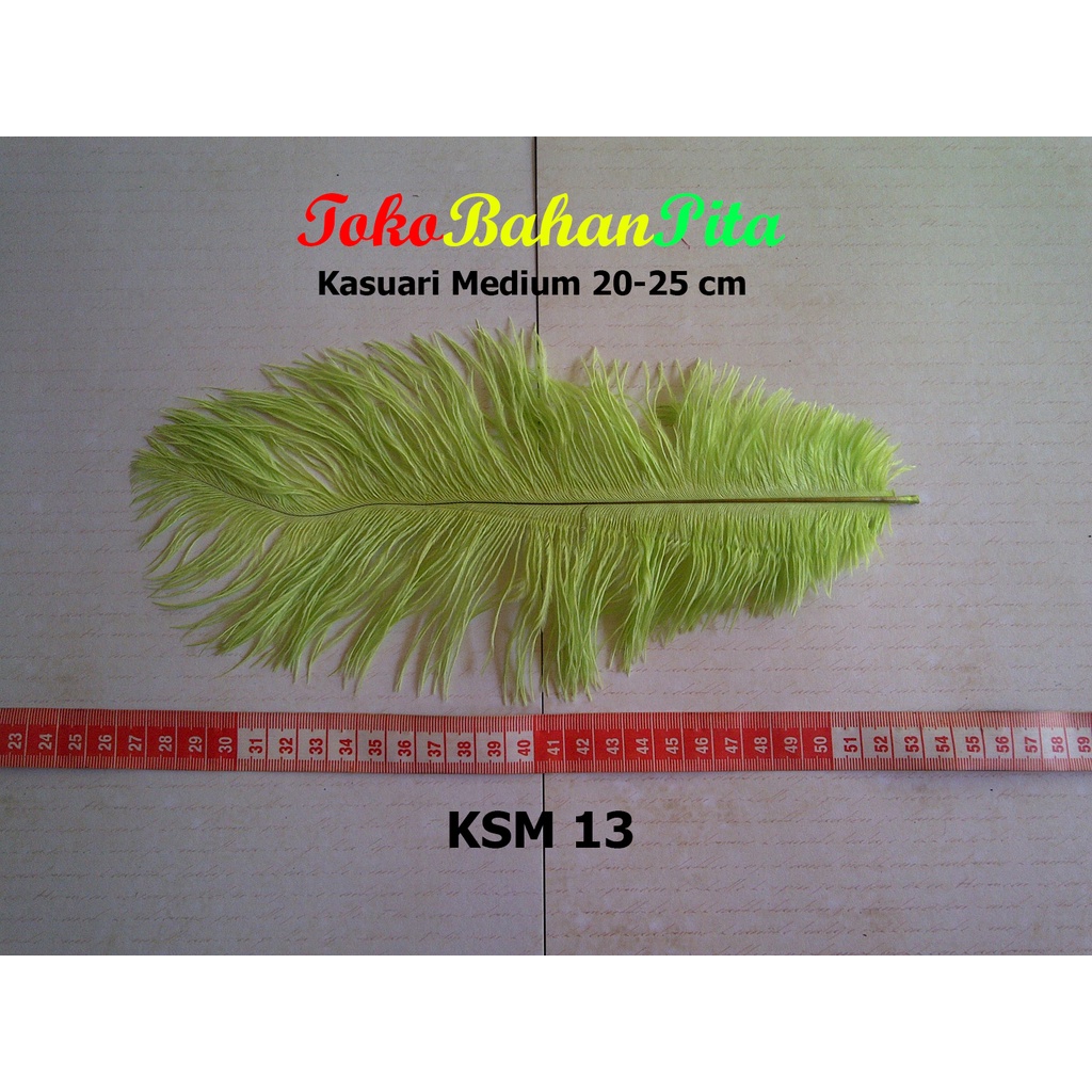 (1 HELAI) BULU DEKORASI 20-25cm KSM 13 | OSTRICH | BULU HIAS | BULU CRAFT | TOKO BAHAN PITA