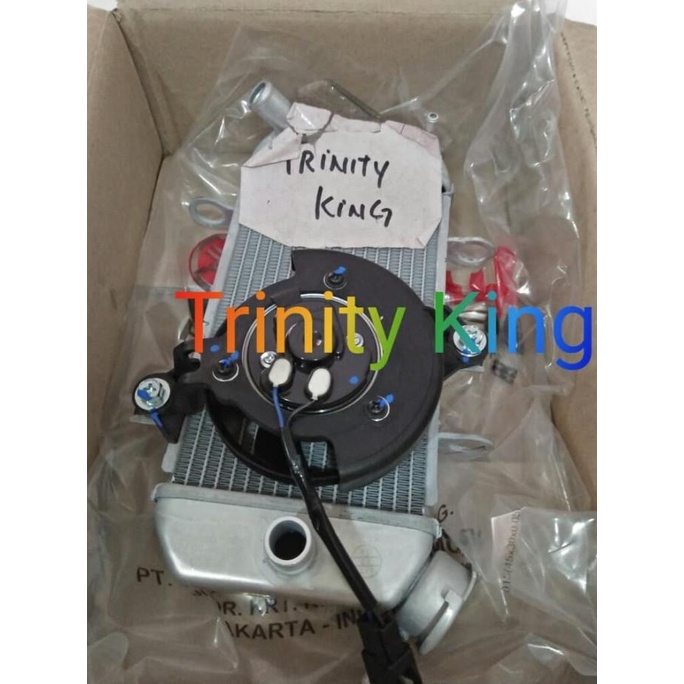 Radiator Assy Yamaha Mx King -Mx 150 Original