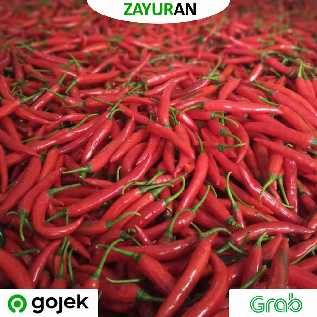 

Cabai Merah Besar | Cabe Merah Besar | Zayuran
