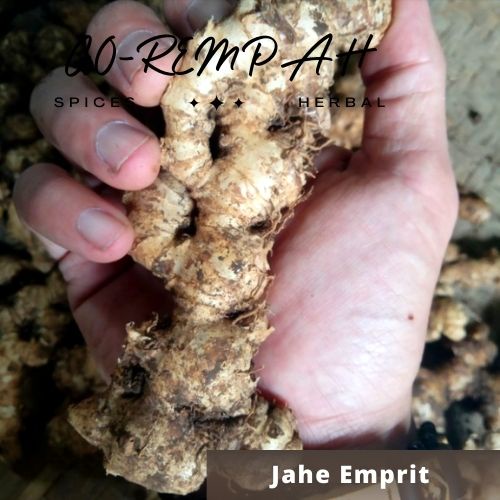 

Jahe Emprit Lokal Segar, Kualitas Premium 1kg