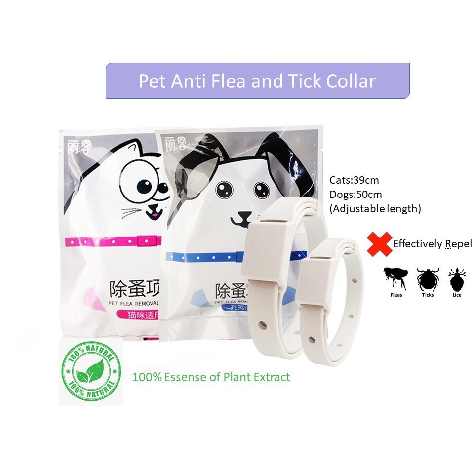 Kalung Anti Kutu Untuk Anjing dan Kucing - Flea Removal Collar Cat Dog