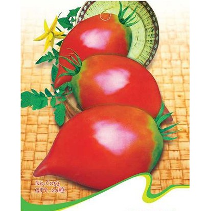 

Benih Tomat Peach Red Peach Red Tomato Import Diskon