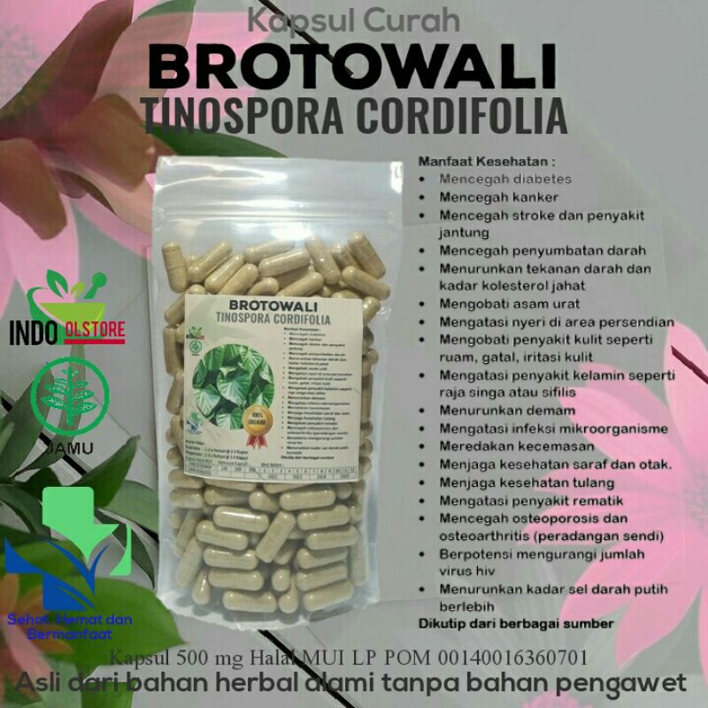 

Kapsul Curah BROTOWALI 100 Kapsul Untuk Mencegah Stroke Penyumbatan Radang Sendi Rematik