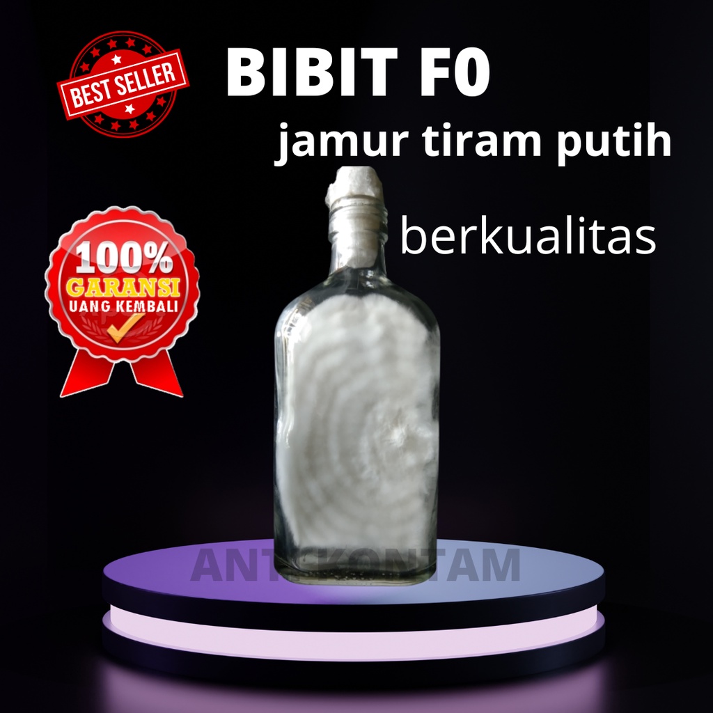 Bibit F0 Jamur Tiram Putih Berkualitas