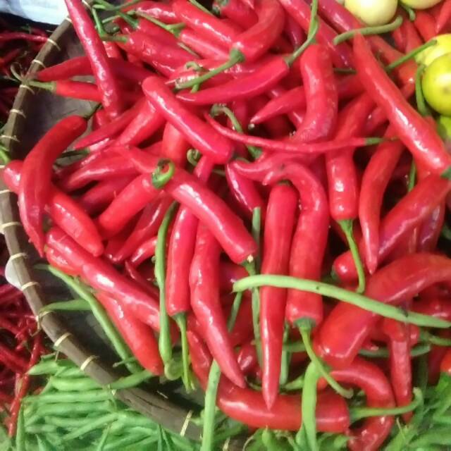 cabe merah gede 1kg