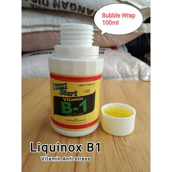 LIQUINOX B1 VITAMIN PADA AKAR TANAMAN ASLI B1 100ML