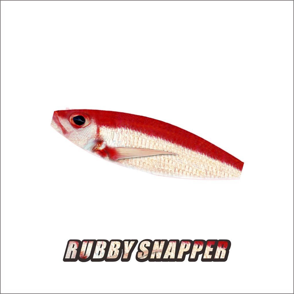 Water Slide Decal Micro Jig Koika 10gr - 20gr