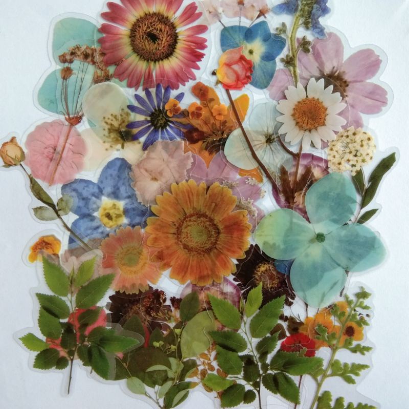 

Sticker Aesthetic Nature | Stiker Estetik Tanaman Bunga