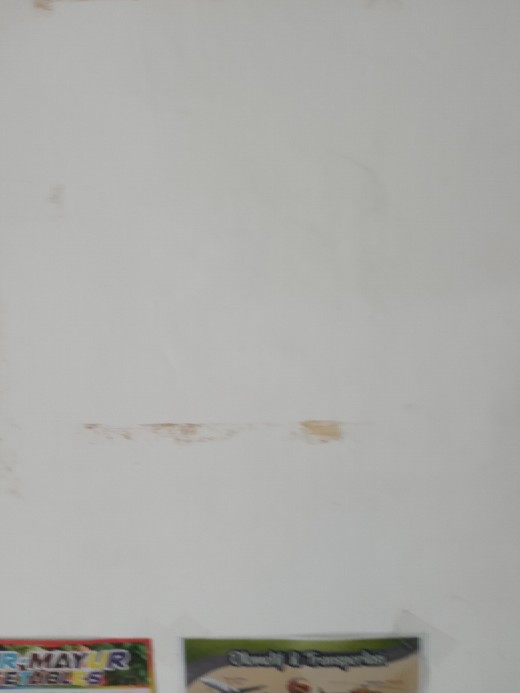 Joliecollections Raket Tepokan Lalat Alat Tepuk Lalat Penepuk Lalat