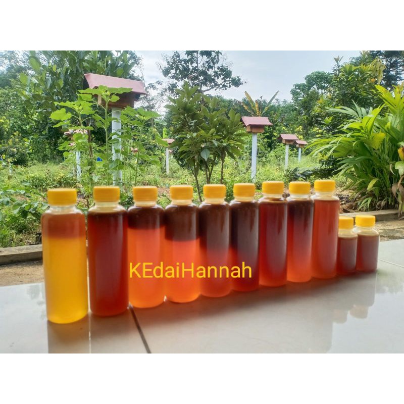 

Trigona Honey || Pure || Raw || Organic