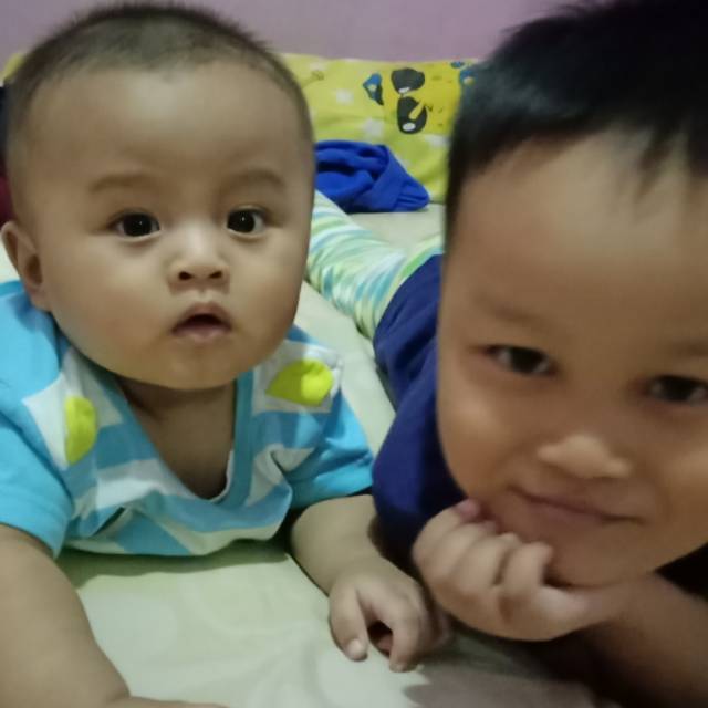 dini3344