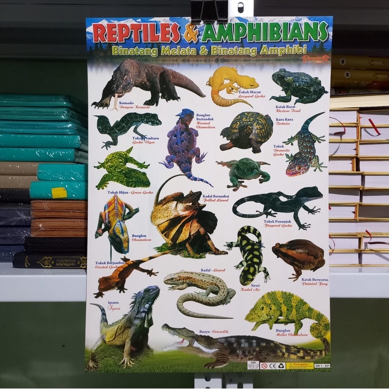 Poster Reptil - Gambar Reptile