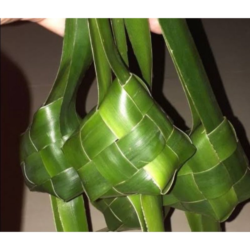 

ketupat pandan