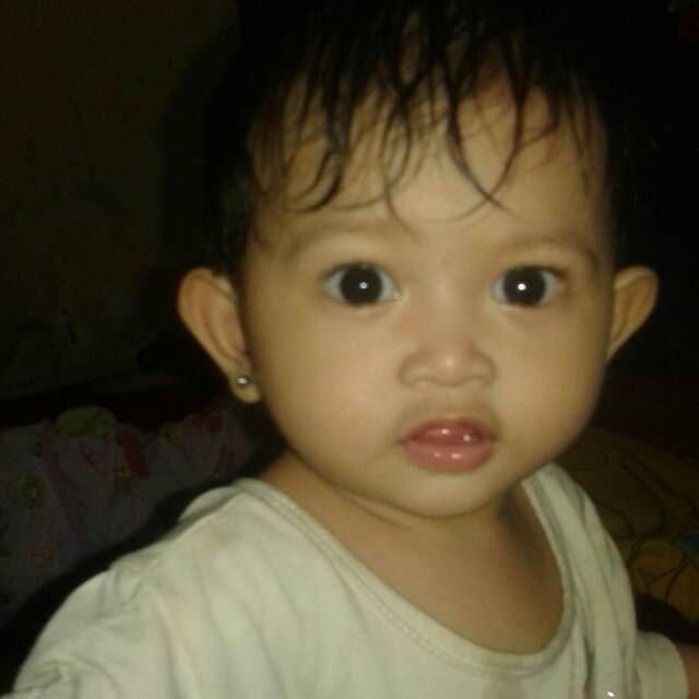 amier_mustari