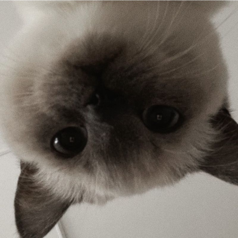 

[ CHECK OUT ] PACKING 3 FULLSET