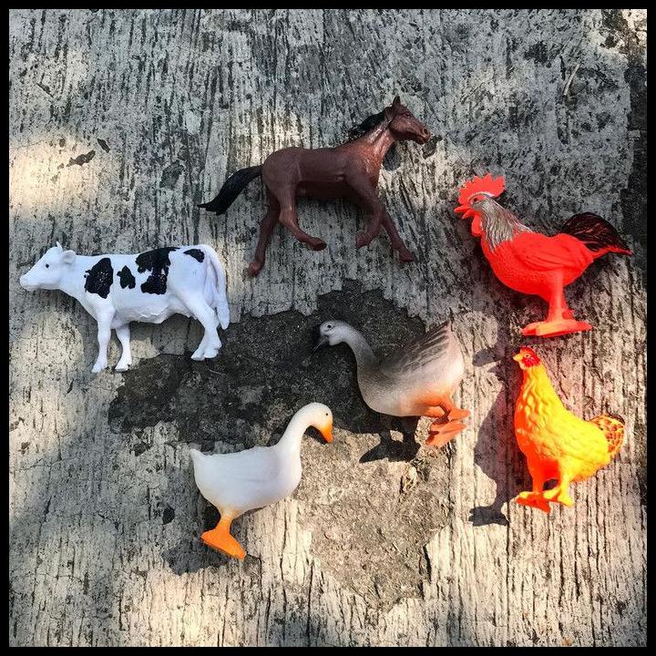 940 Gambar Binatang Unggas Gratis Terbaik