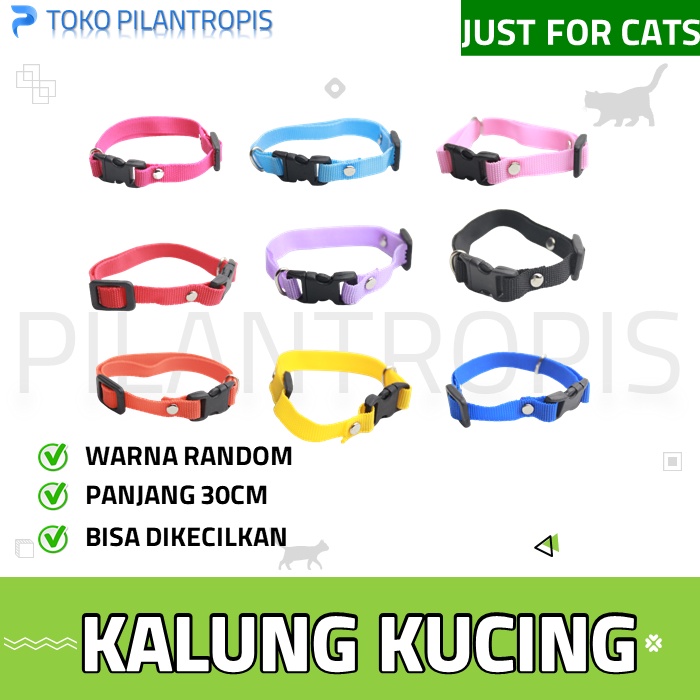 AKSESORIS KALUNG KUCING MURAH POLOS PET COLLAR COLAR KUCING ANJING AKSESORIS ASESORIS ACCESORIES AKSESORIS KUCING MURAH