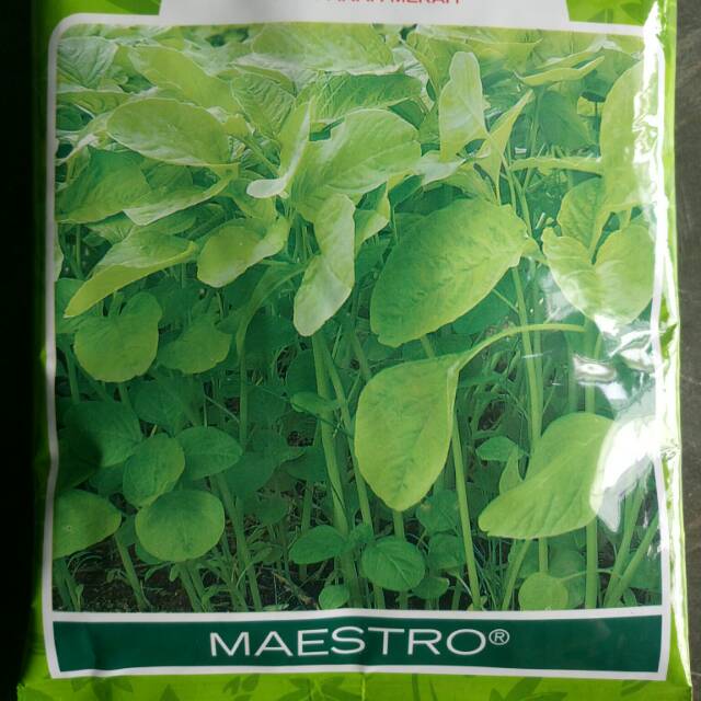 Benih Bibit Bayam Hijau Cabut MAESTRO 500gr | Shopee Indonesia