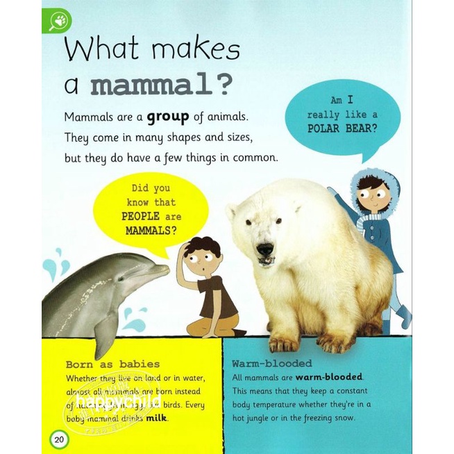 original DK My Encyclopedia of very important animals buku anak buku bacaan happychild