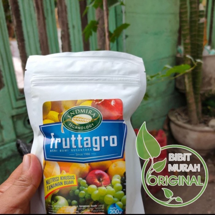 garansi pupuk tanaman pertumbuhan dan pembuahan bonus bibit alpukat agro tanaman