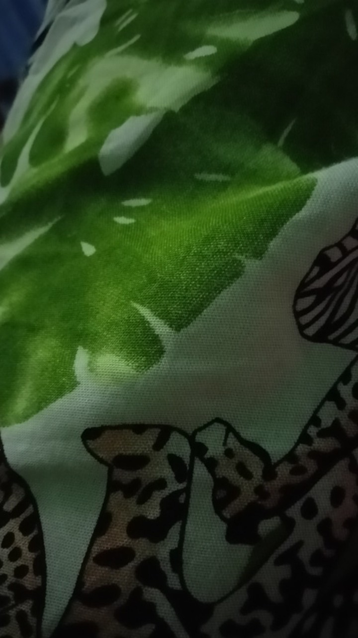 Spons Putih Pencuci Botol Dan Gelas (b68k)