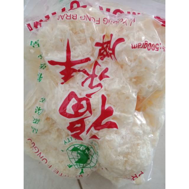 

Jamur salju (jamur putih fungus)