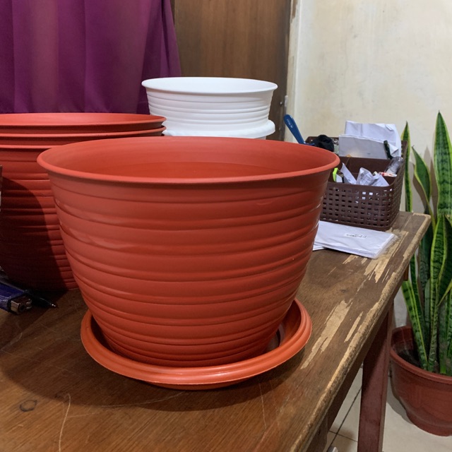 pot tawon coklat 30 cm