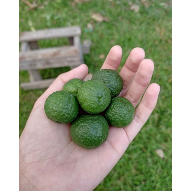 

jeruk limau limo sambal per 2kg