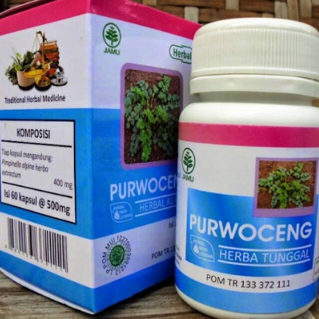 Purwoceng 100% Asli Herbal Indo Utama Pil Herbal Kesehatan Purwoceng