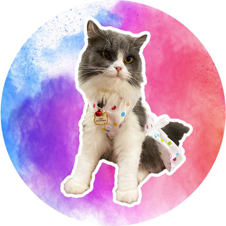 Toko Online Jeeeeery OOTD | Shopee Indonesia