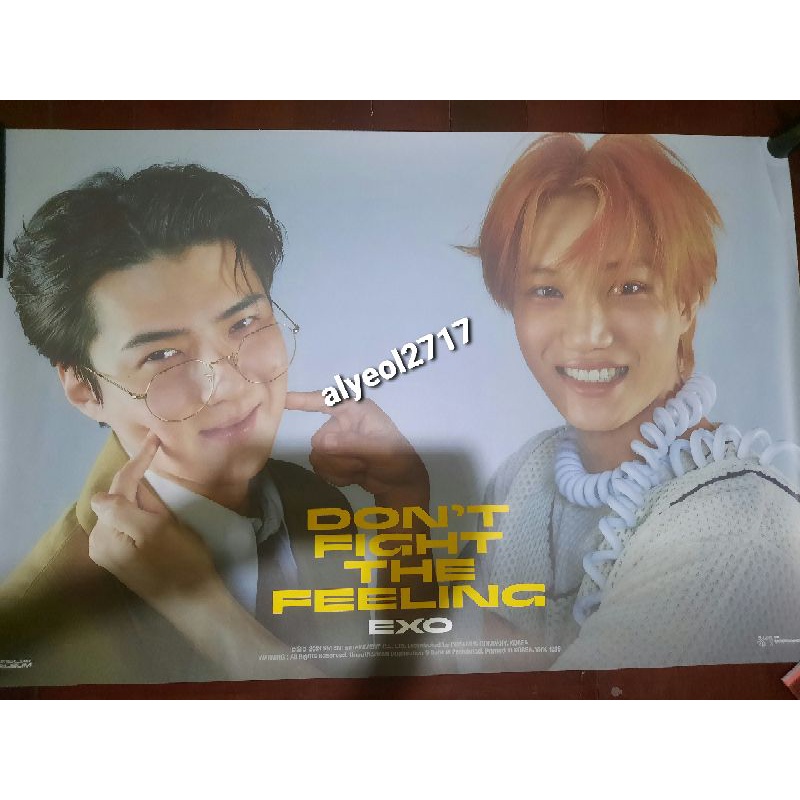SEHUN-KAI poster expansion ver