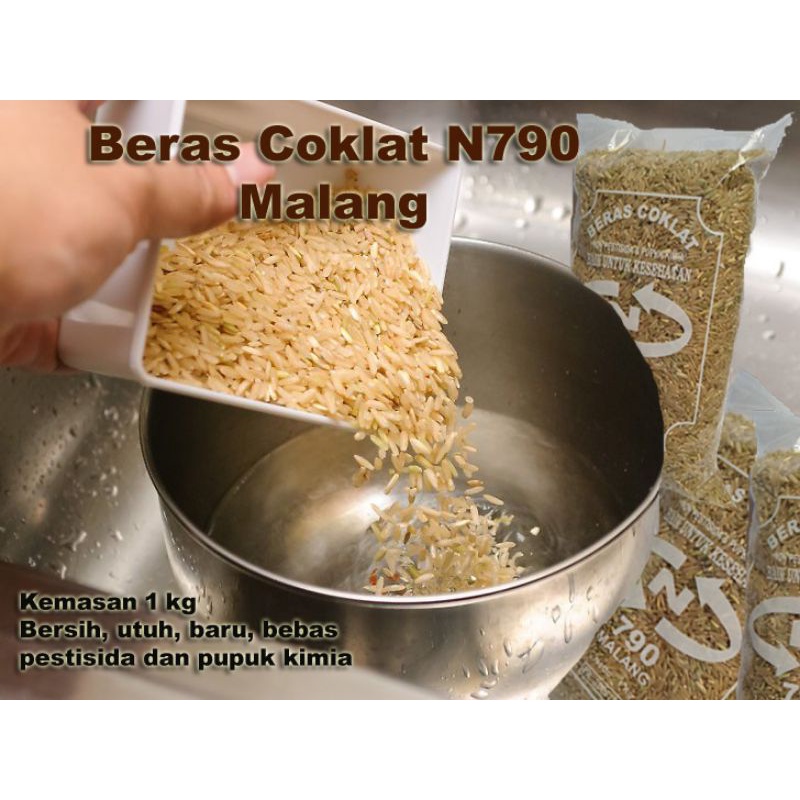 

Beras COKLAT, Beras Coklat Organik, Beras Cokelat, Brown Rice Organic, Beras Coklat 1kg