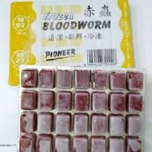 (GOJEK) CACING BEKU 5PCS PIONEER / MAKANAN FROZEN BLOODWORM