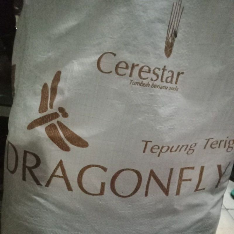 

Tepung Terigu Dragon Flay