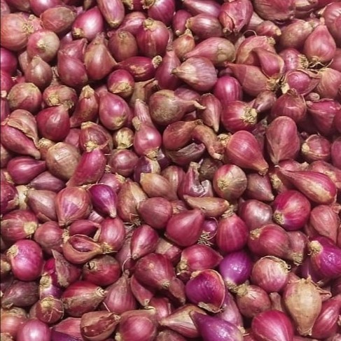 

Bawang Merah Ukuran Kecil/Sedang 500 Gram (asli Brebes)