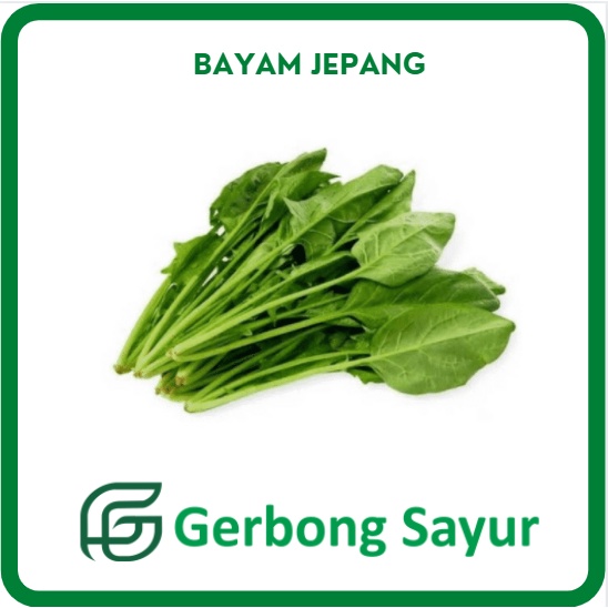 

Sayur Bayam Jepang Segar - 250g