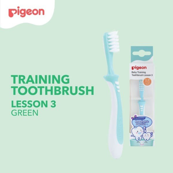 Pigeon Training Tooth Brush / Sikat Gigi Bayi Lesson 3 (12M+)