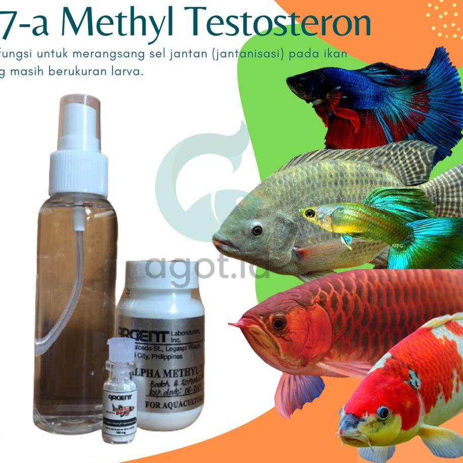 jk✺Laris✭➮ 17A metil testosteron hormon jantanisasi ikan 100mg / 17 A MT Testosteron 95 ✺