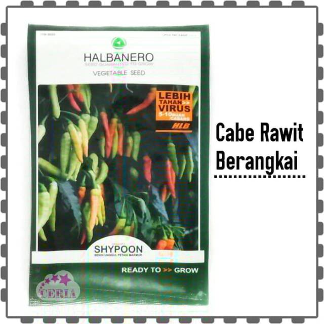 Benih Tanaman Cabe Rawit Shypoon Termurah Terlaris